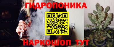 молекула духа Тверь
