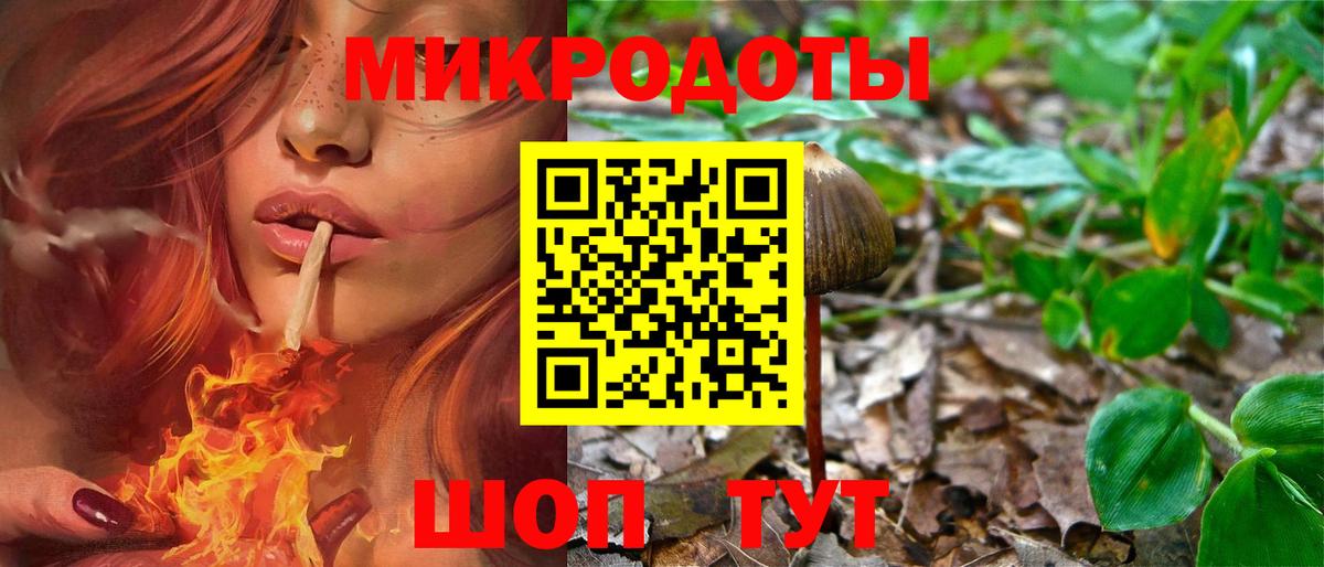 Бор  Галлюциногенные грибы Psilocybe  Вход с VPN 