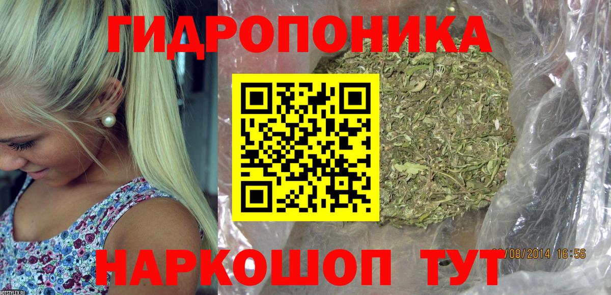 Бошки марихуана SATIVA & INDICA  Вход с VPN  Бор  Бошки марихуана семена  Конопля сатива 